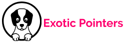 Exotic Pointers